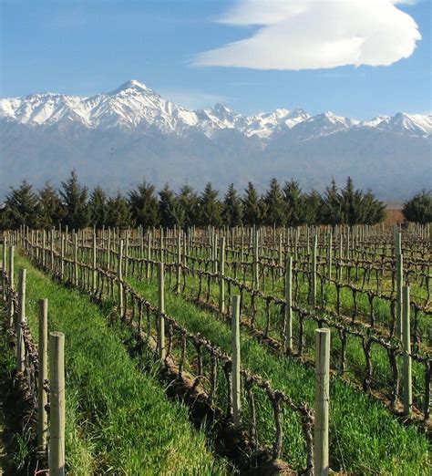 wine tours in chile